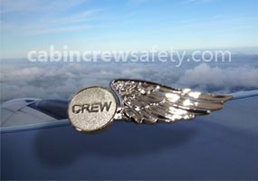  Flight Attendant Wings Badges for Crew Uniform