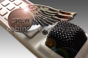 Buy Custom Air Crew Wings Badge Online