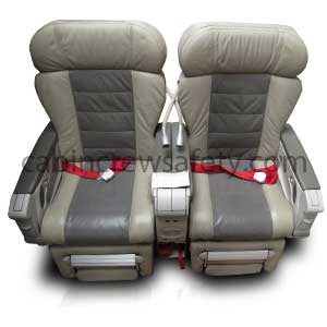 Aircraft Double Business Class Seat