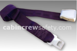 2010-5-011-1312 - AMSAFE Passenger Extension Belt (Purple)